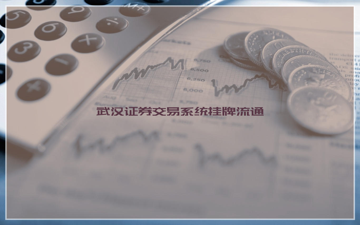 武汉证券交易系统挂牌流通